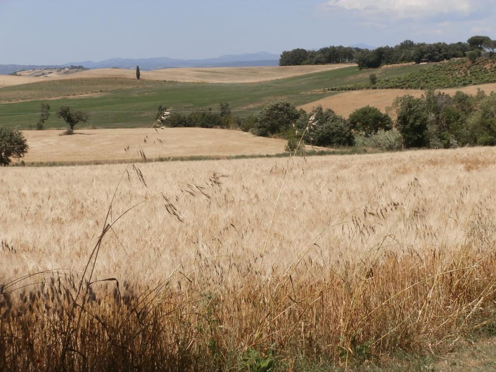 Вілла Agriturismo Poggio Sassineri Мальяно-ін-Тоскана Екстер'єр фото