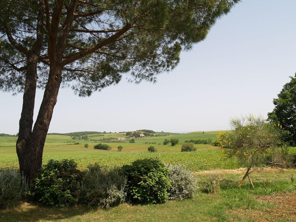 Вілла Agriturismo Poggio Sassineri Мальяно-ін-Тоскана Екстер'єр фото